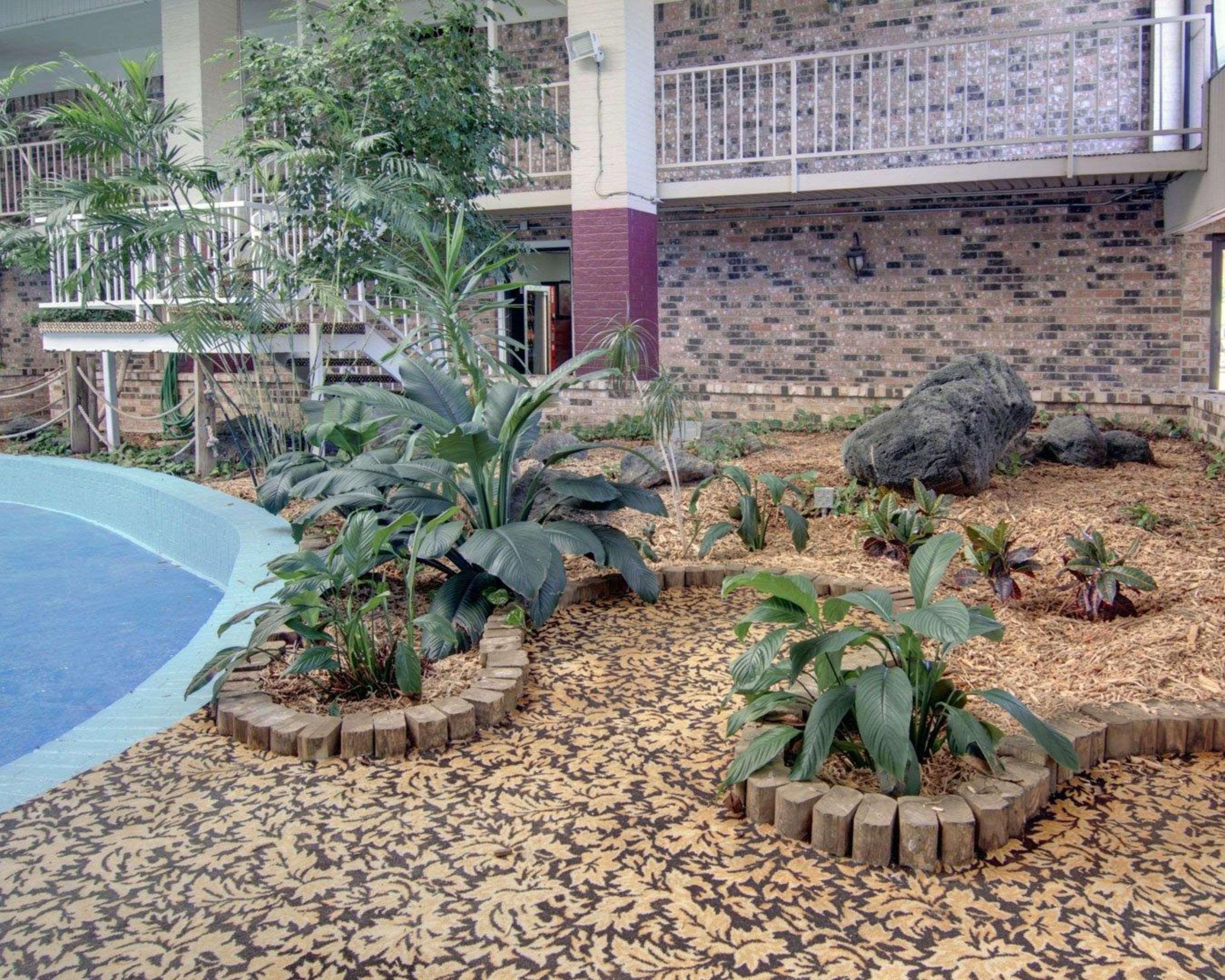 מלון Conference Center אל דוראדו מראה חיצוני תמונה